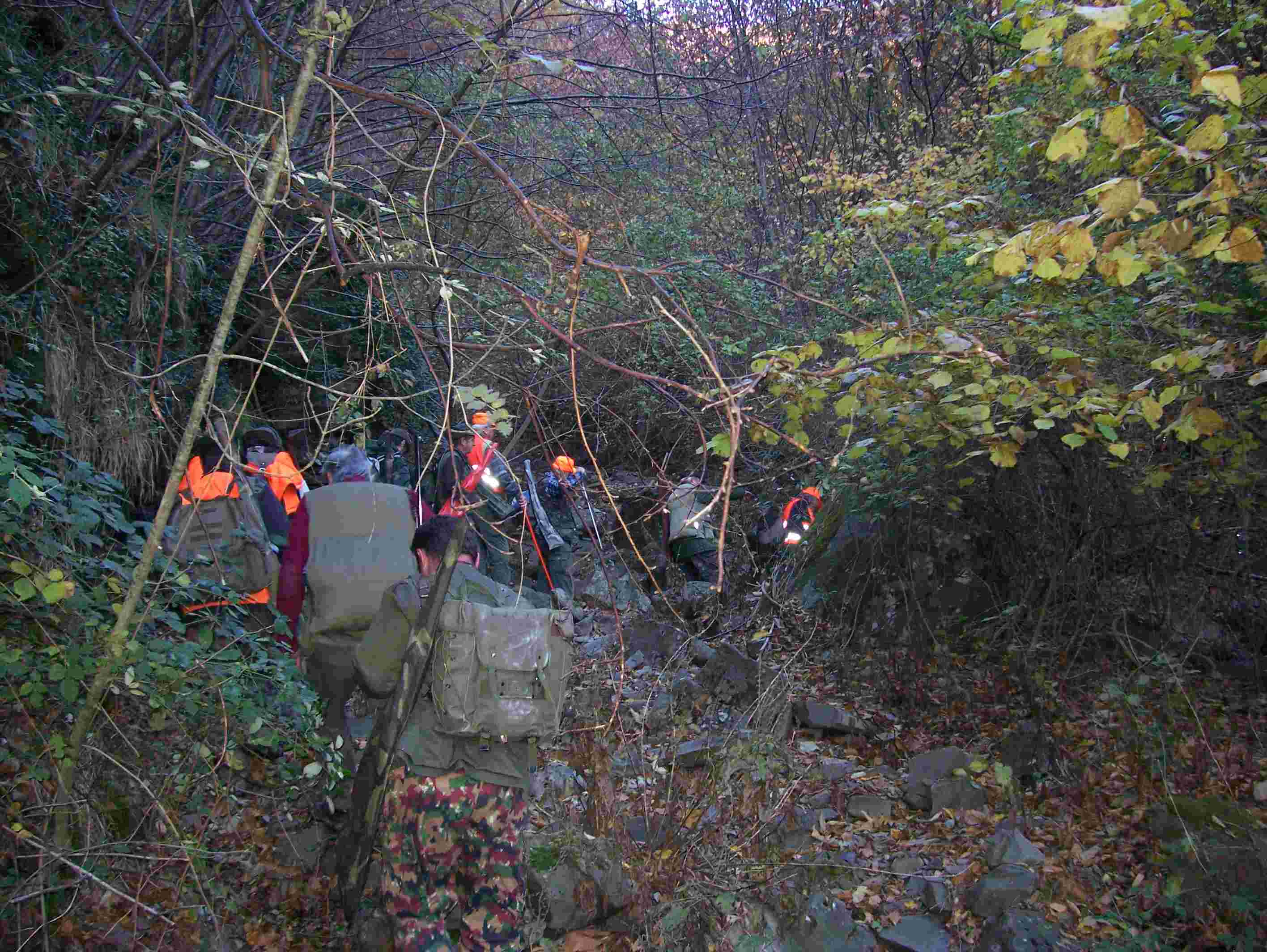  Image name: 77 Caccia.JPG 
 width: 2832 pixel 
 height: 2128 pixel 
 Size: 280968 bytes 
 Click to enlarge 